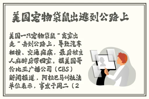 国产精品**在线观看地址