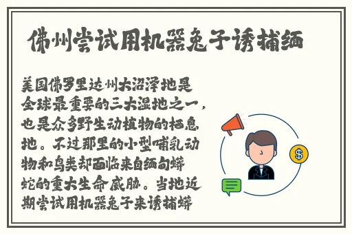 芭乐视下载网